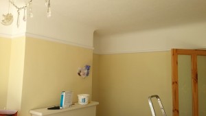 House Renovation 2