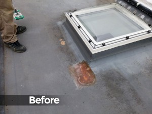 roof_image1