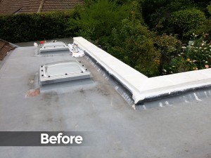 roof_image3