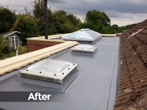 roof_image4