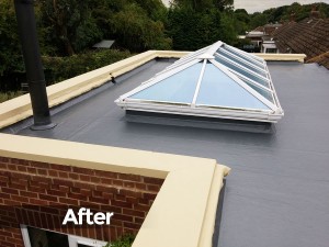 roof_image5