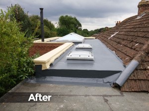 roof_image6